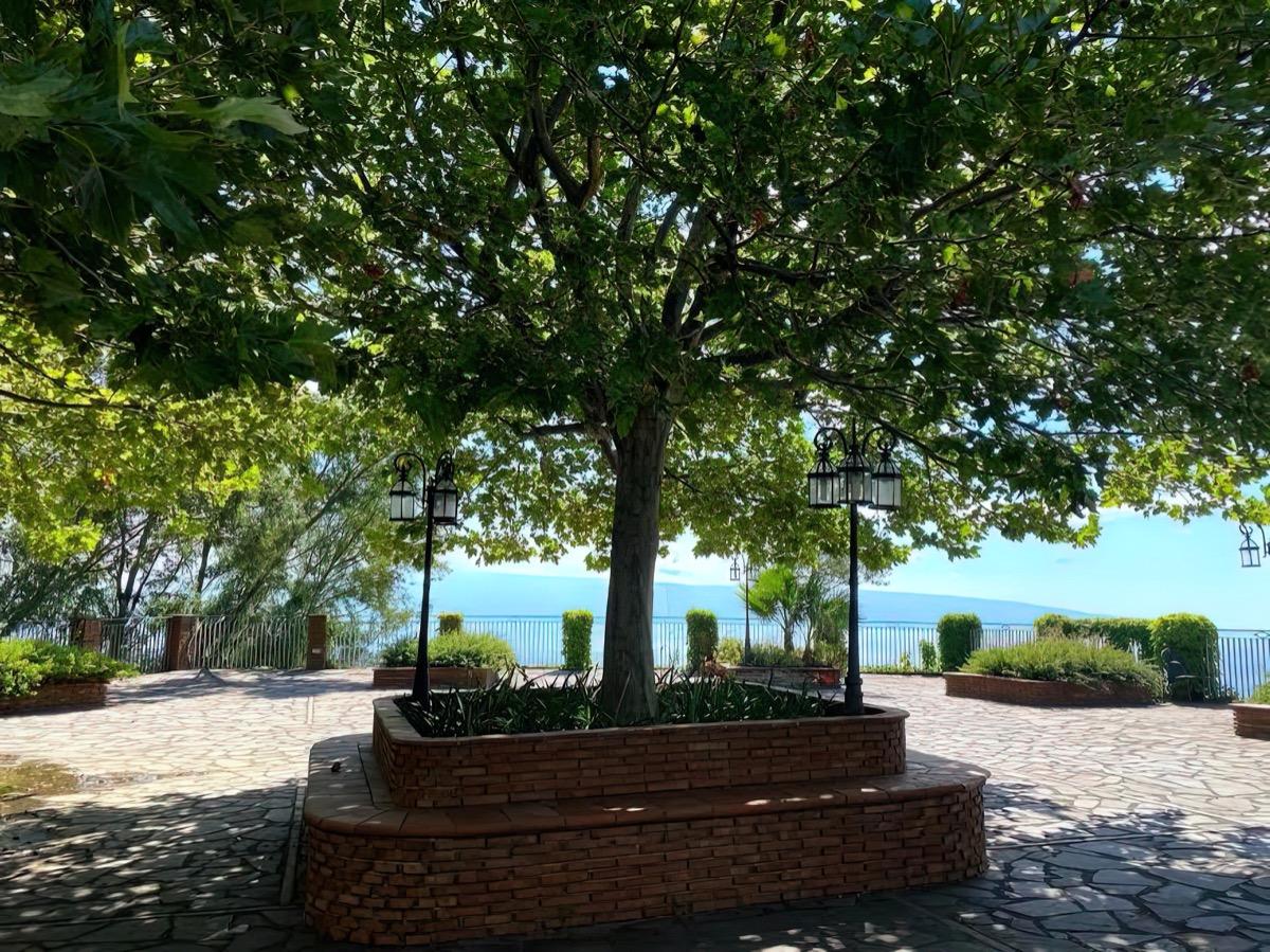 Agriturismo Amendolara foto 4
