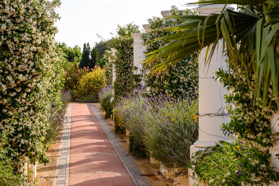 Bussola Di Hermes Hotel Capri foto 3