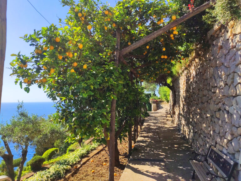 Casa Orrico - Blue Grotto foto 3