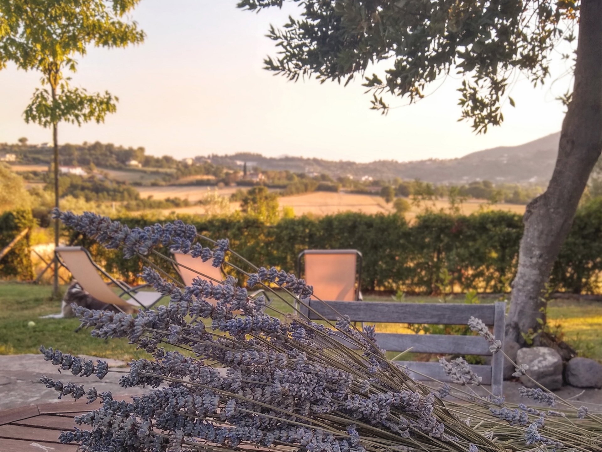 Le Piracante Bed&Breakfast foto 1