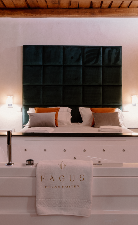 Fagus Relax Suites foto 3