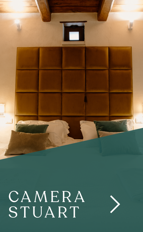 Fagus Relax Suites foto 6
