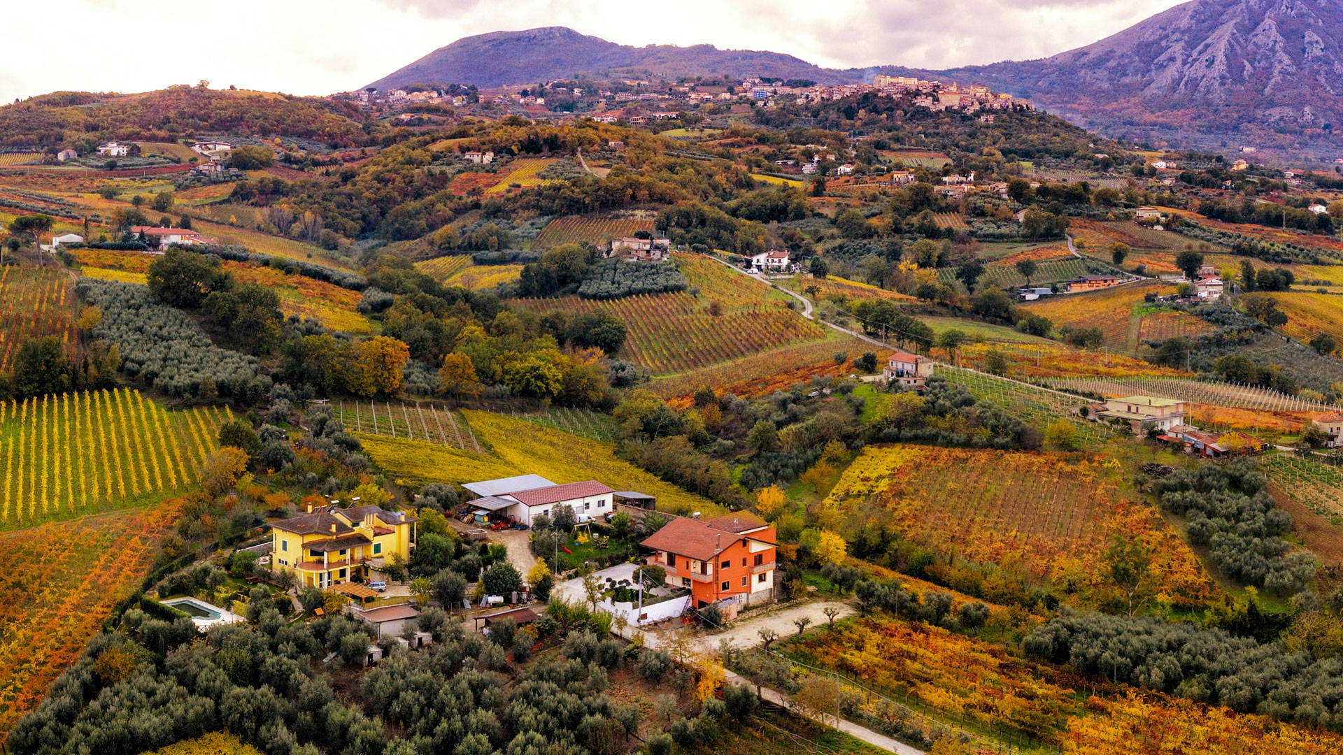 Agriturismo La Stella del Taburno foto 2