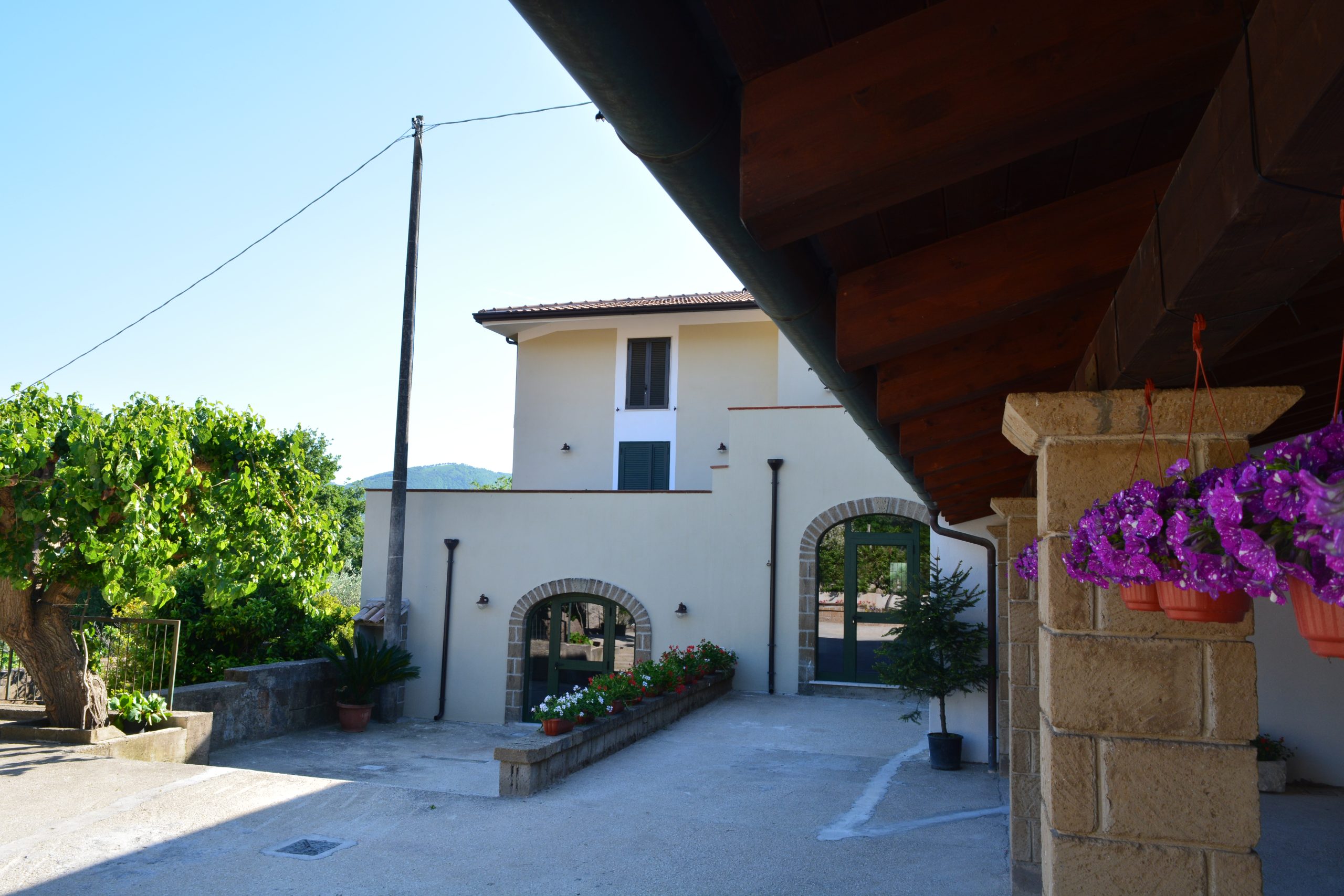 Amaranto Agriturismo foto 2