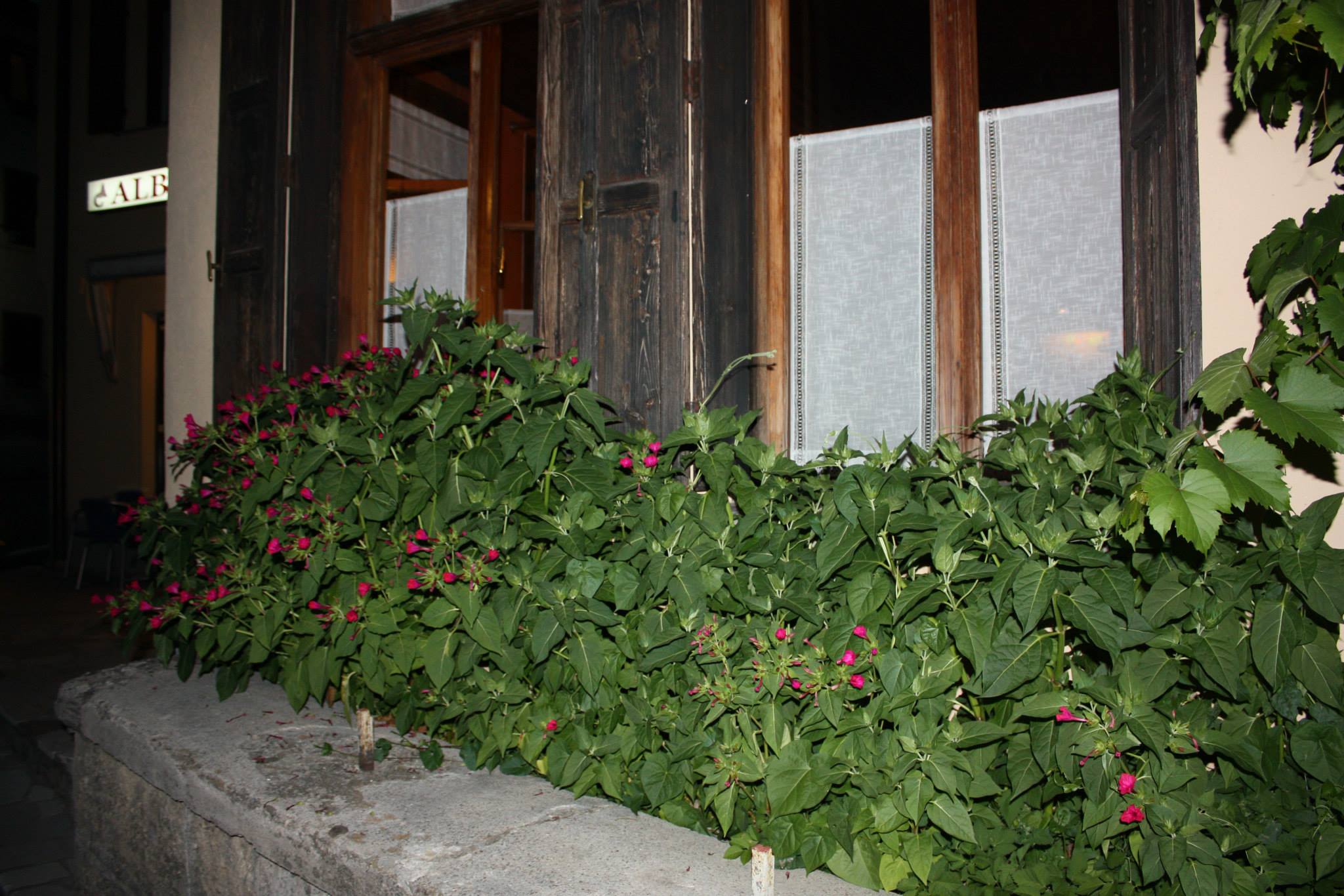 Albergo Dal Cortesan foto 4