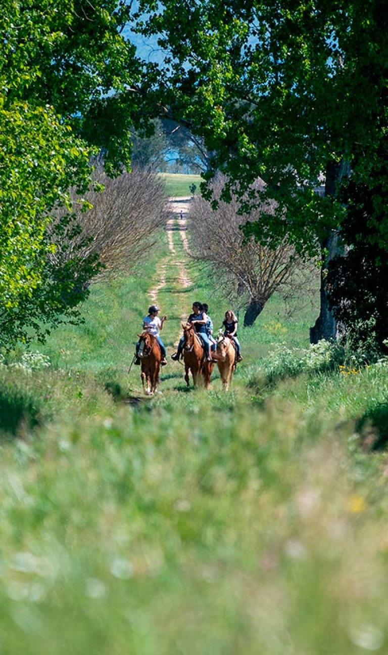 Agriturismo La Sorgente foto 4