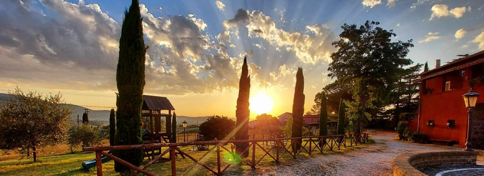 Agriturismo Tenuta Terre Dei Latini foto 3
