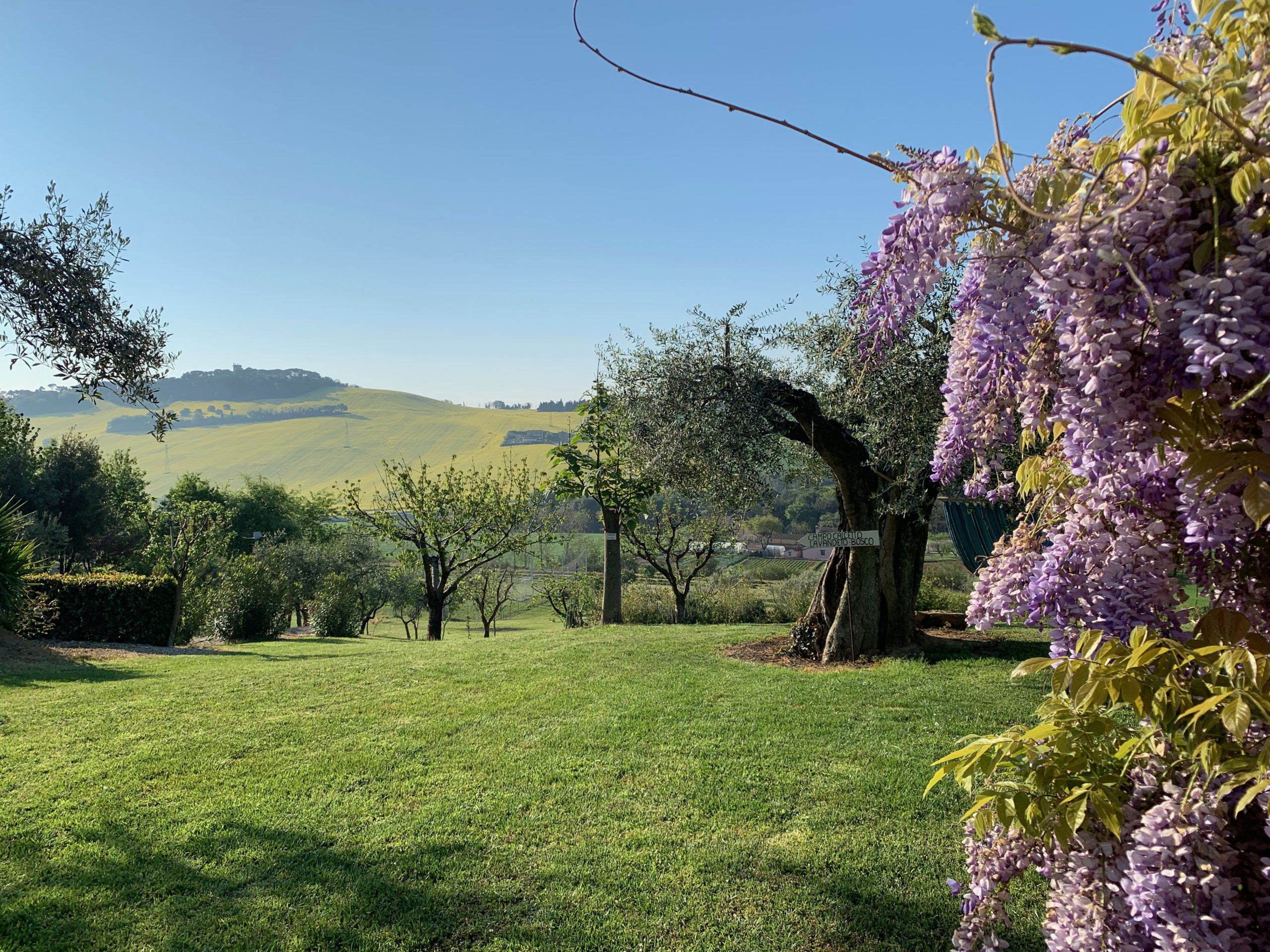 Agriturismo Case al sole foto 6