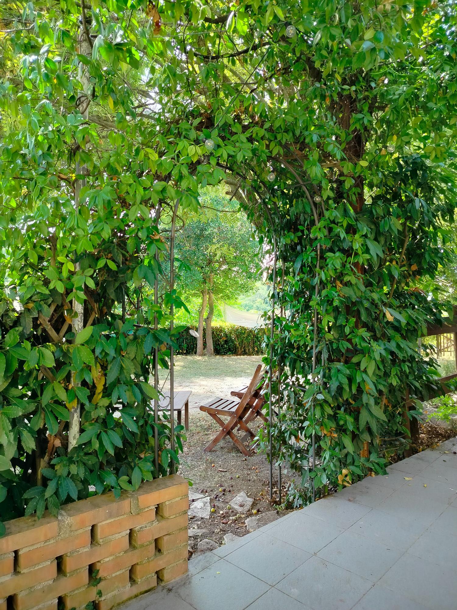 B&B La Campagna del Conero foto 1
