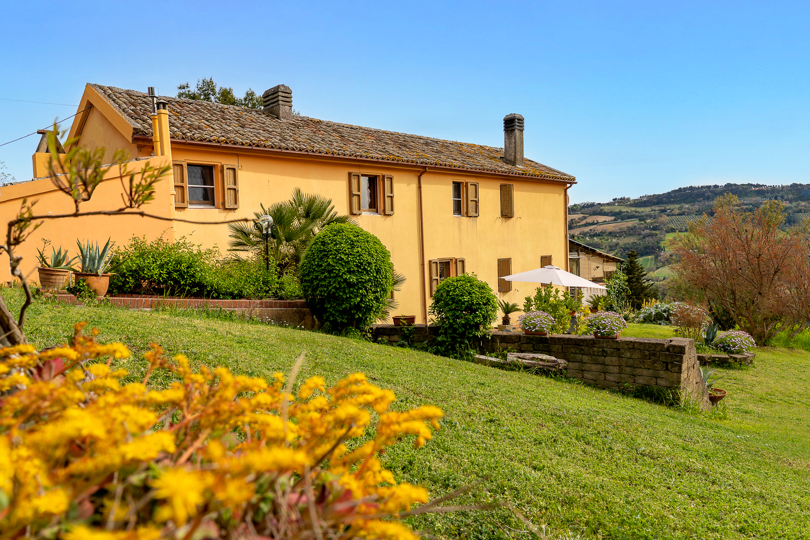 B&B Glicine foto 3