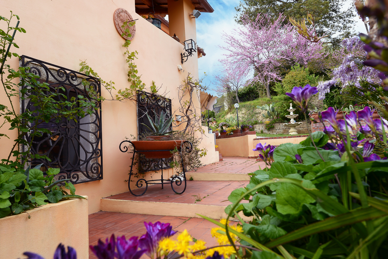 B&B Glicine foto 4