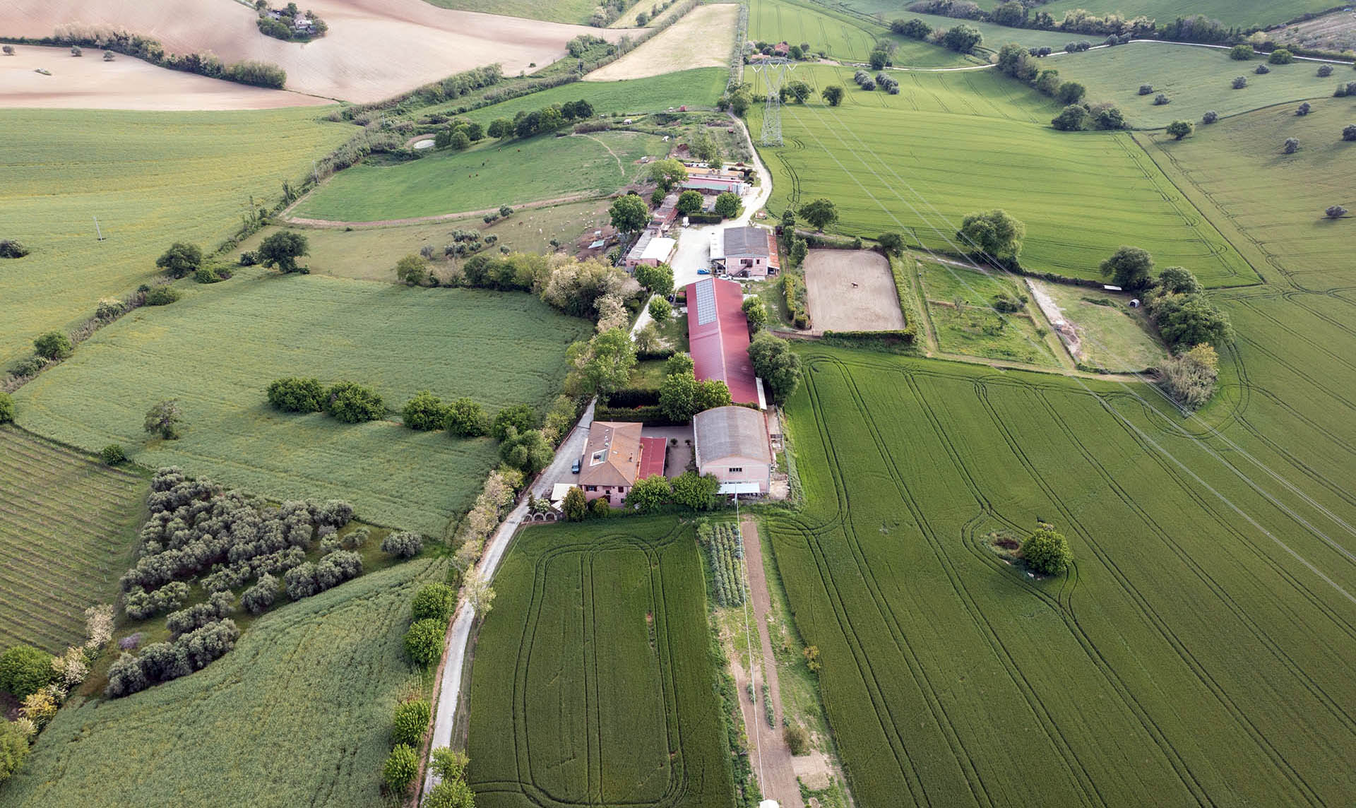 Agriturismo la Rocca Verde foto 1