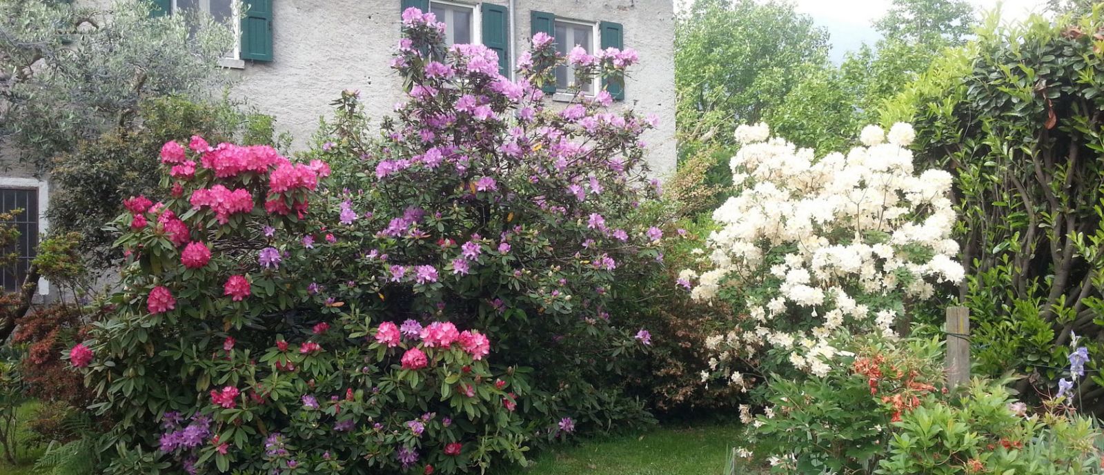 B&B L'Isola foto 2