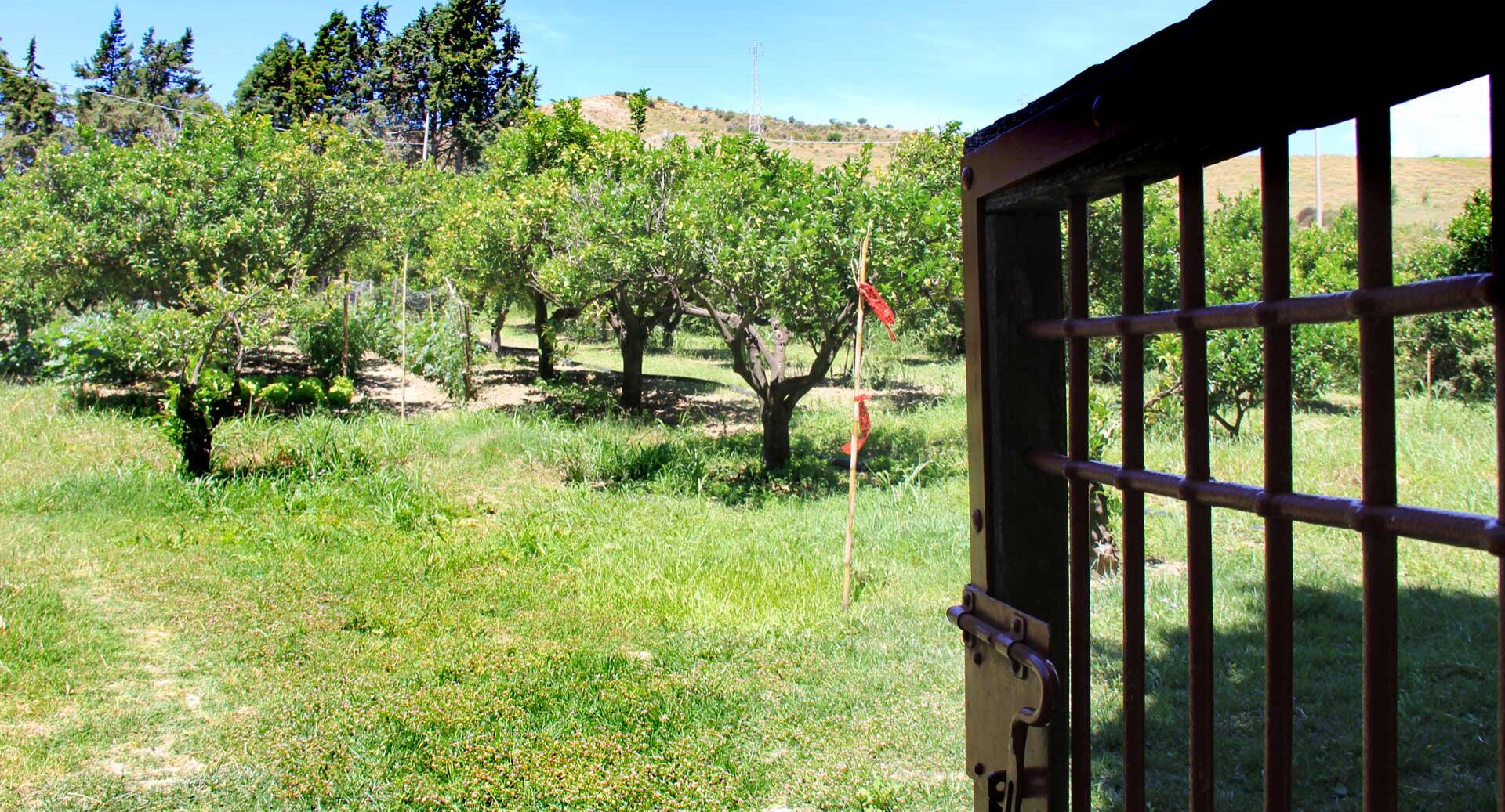 Locanda della Cucullera e Ristorante Villa Fortificata la Cucullera aperto a cena tutte le sere foto 3