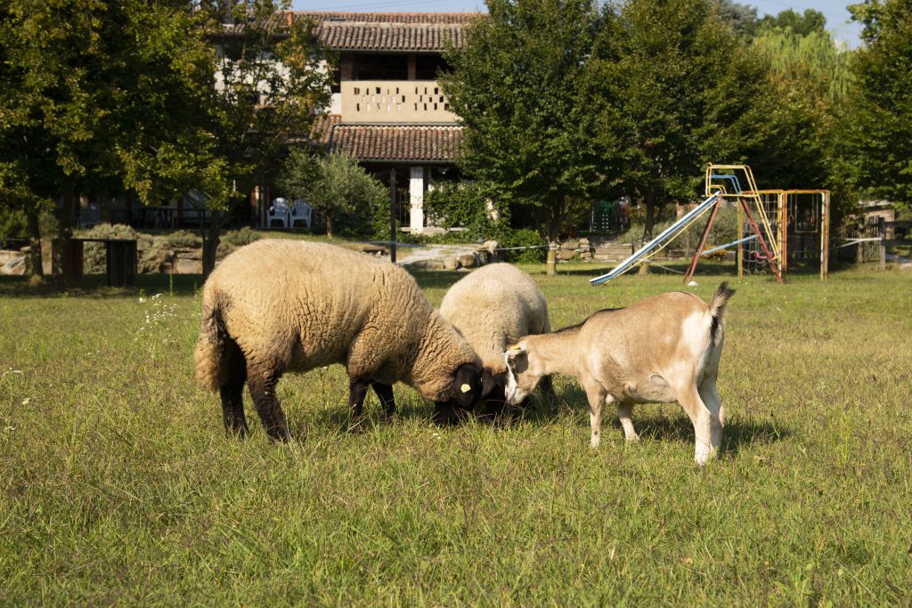Cascina Costa - foto 2