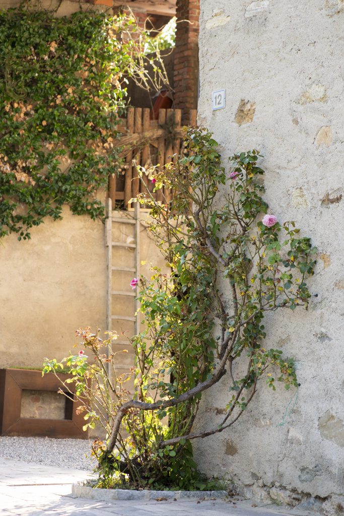 Cascina Costa - foto 5