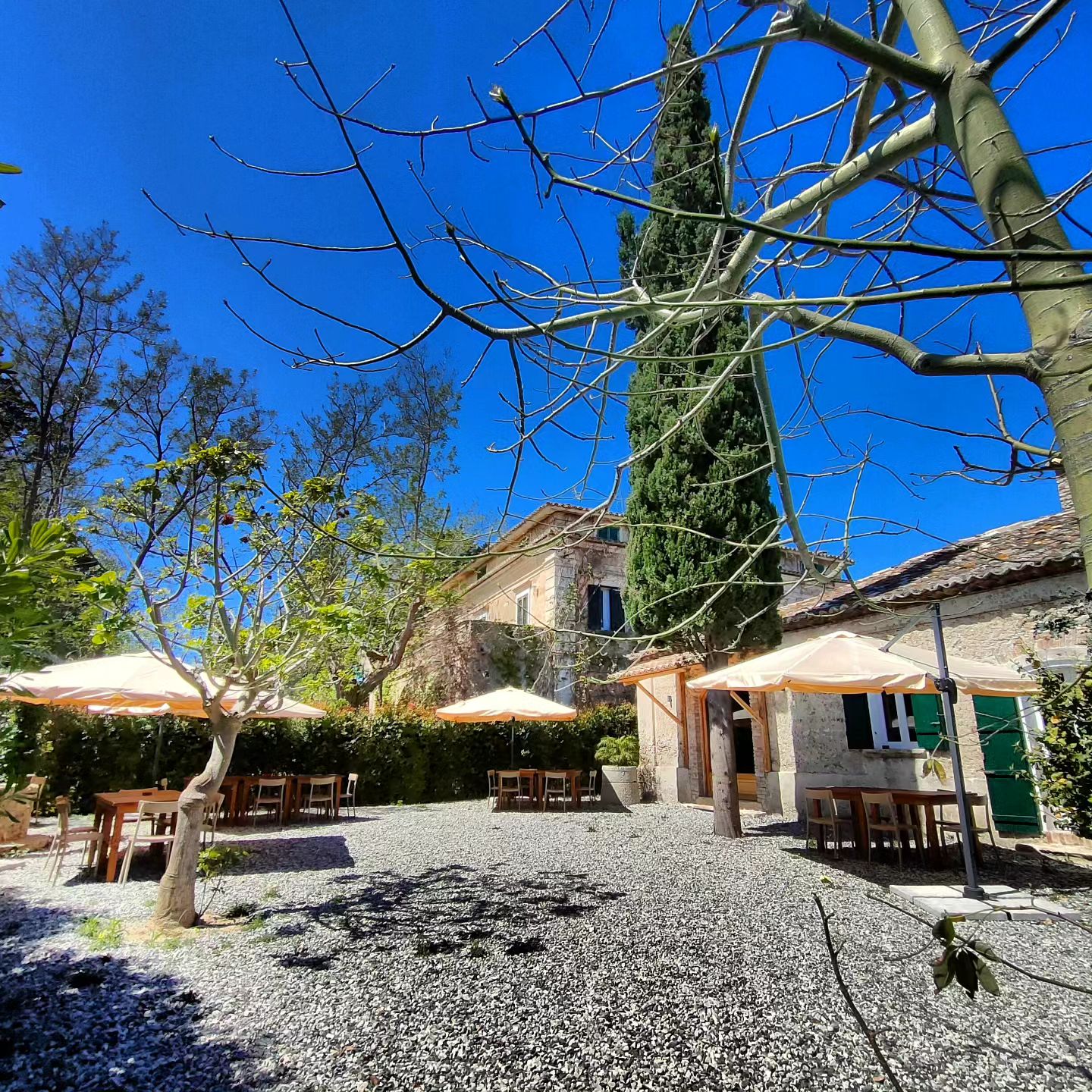 Casa Ponziana B&B foto 4