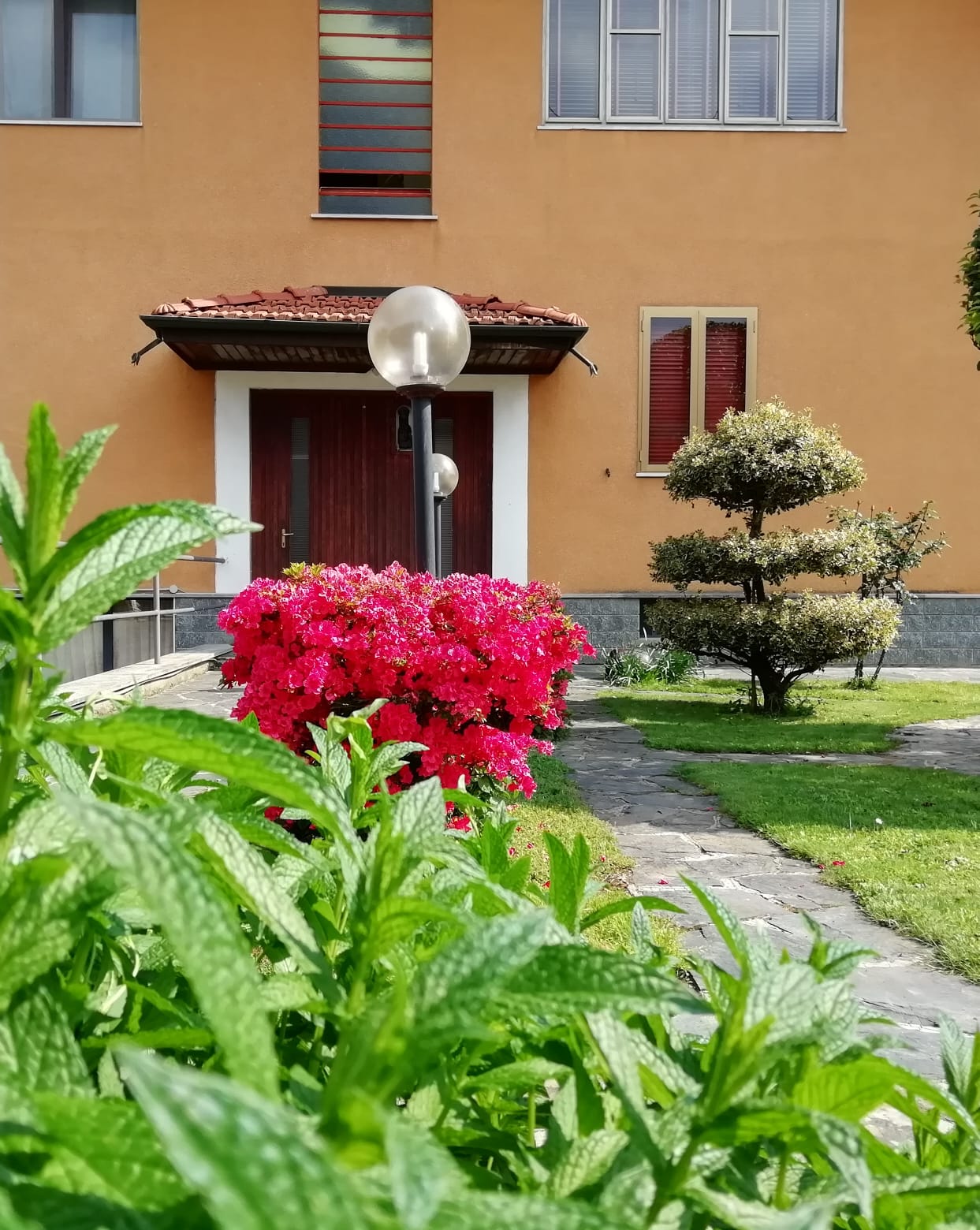B&B Villa Luisa foto 4