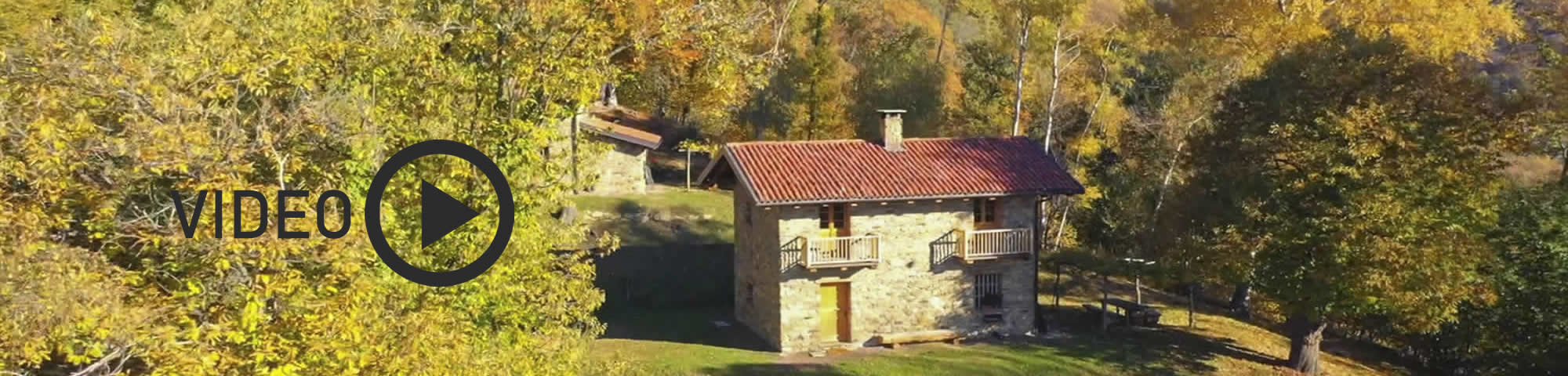 Agriturismo l'Arbo foto 4