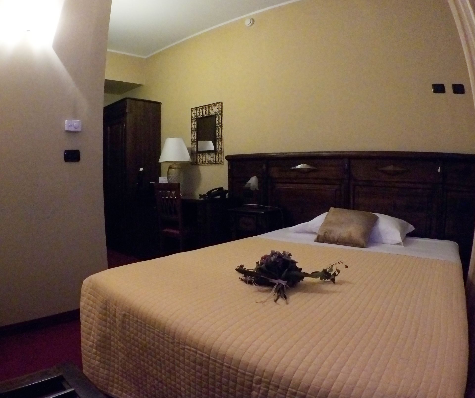 Hotel Damian foto 3