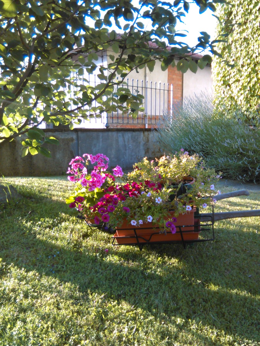 Le Terrazze Di Tavigliano foto 2