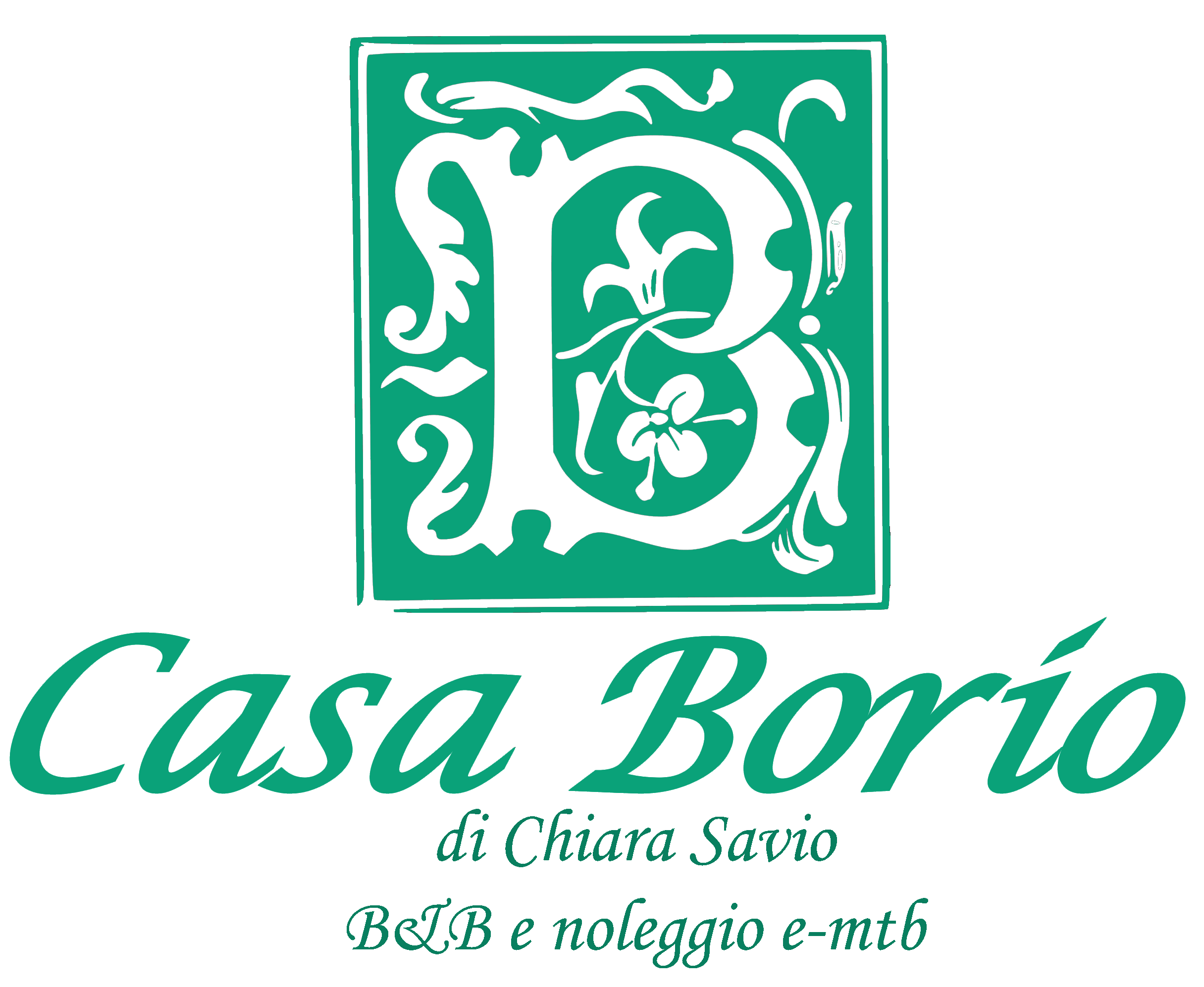 Casa Borio bed and breakfast e noleggio ebike foto 1