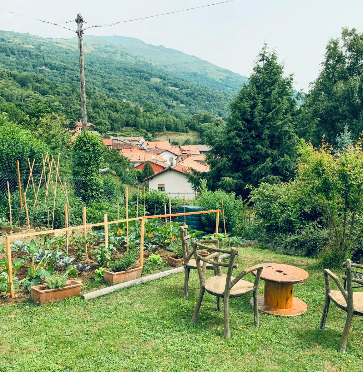 La Locanda dei Gatti foto 2