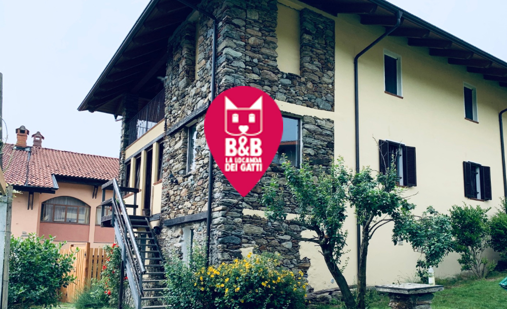 La Locanda dei Gatti foto 6