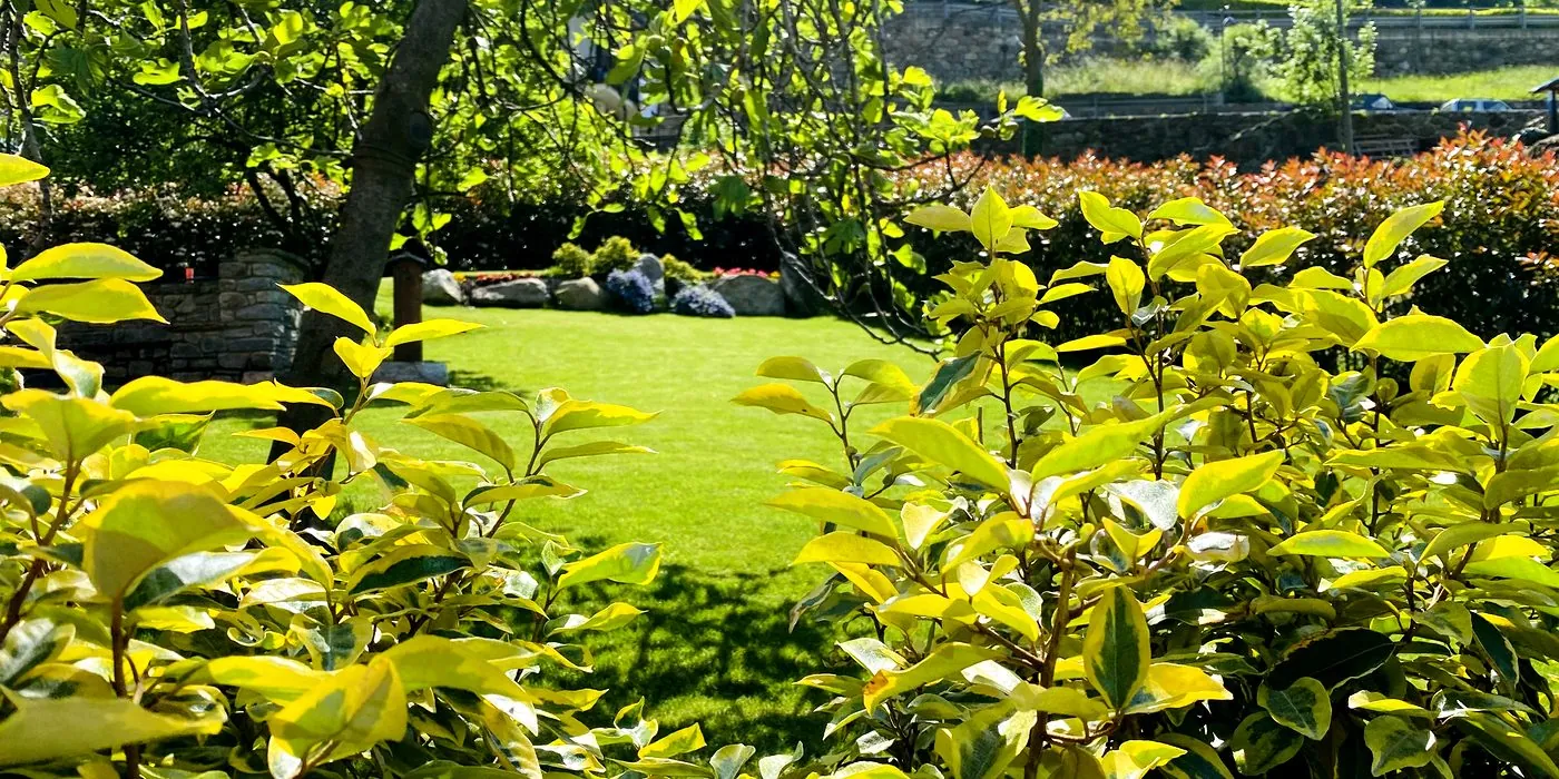 Bed and Breakfast Soffio di Vento foto 4