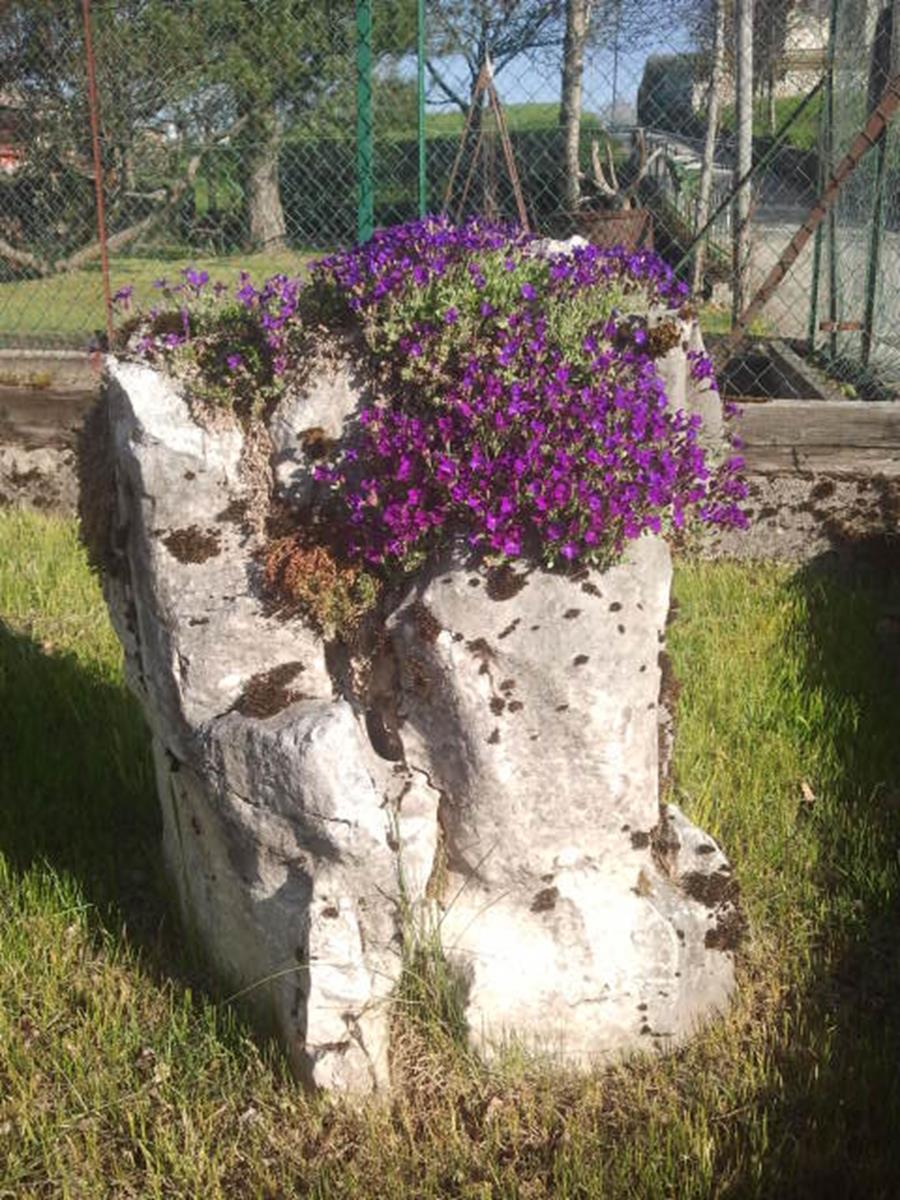 Albergo Al Sasso foto 3