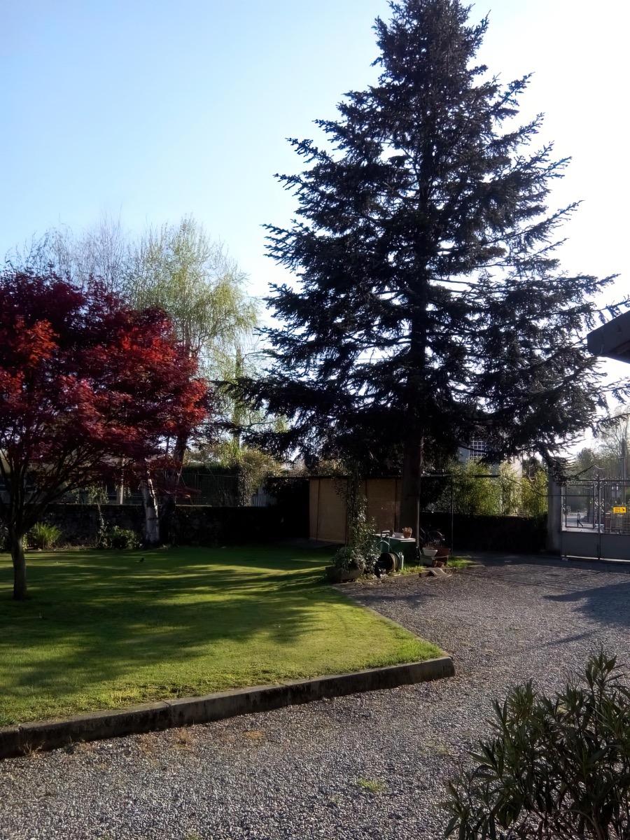 B&B Lago di Campagna foto 2