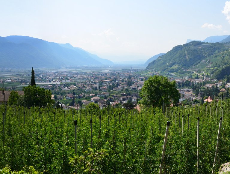 Pensione Hilpold foto 6