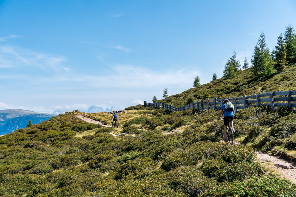 Pensione Schlaneiderhof foto 3