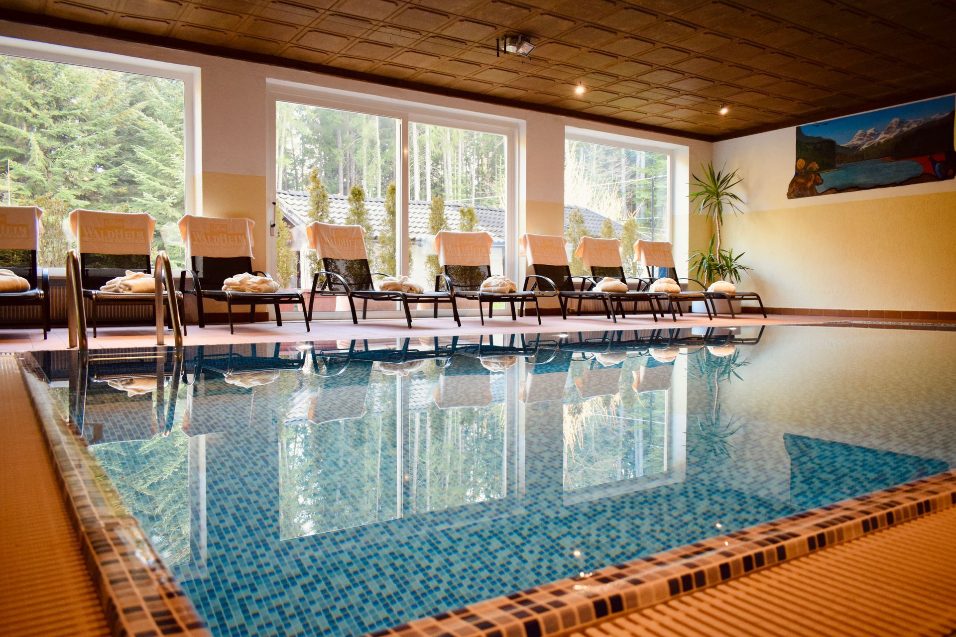 Hotel Waldheim Wellness & Restaurant foto 5